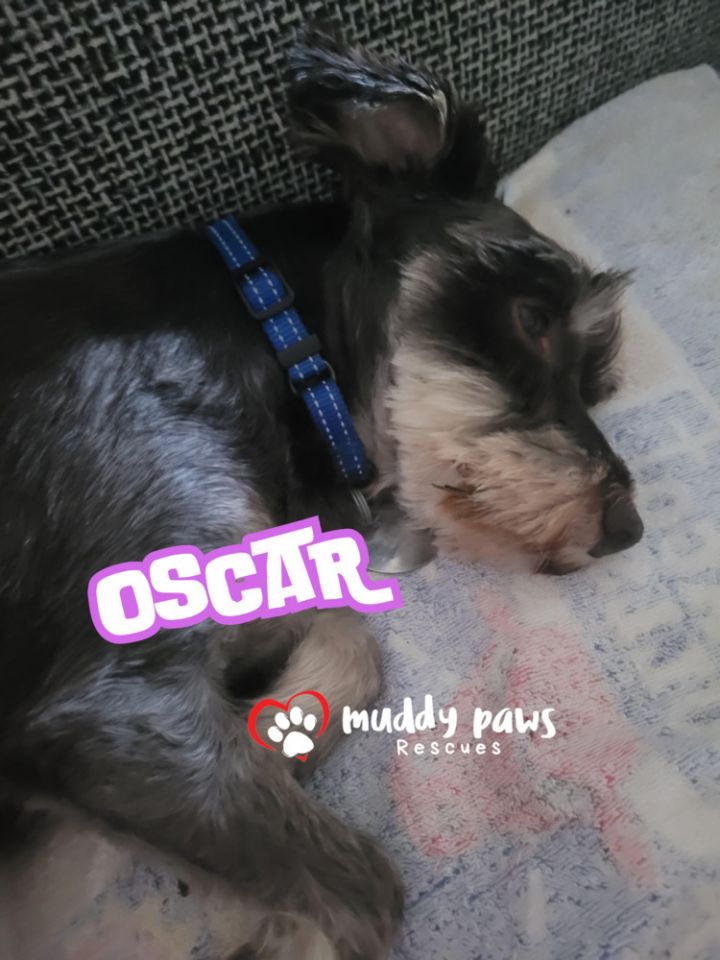 Oscar 3