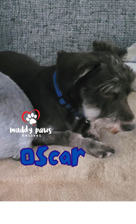 Oscar