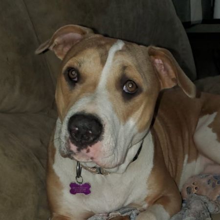 Jezzie photo