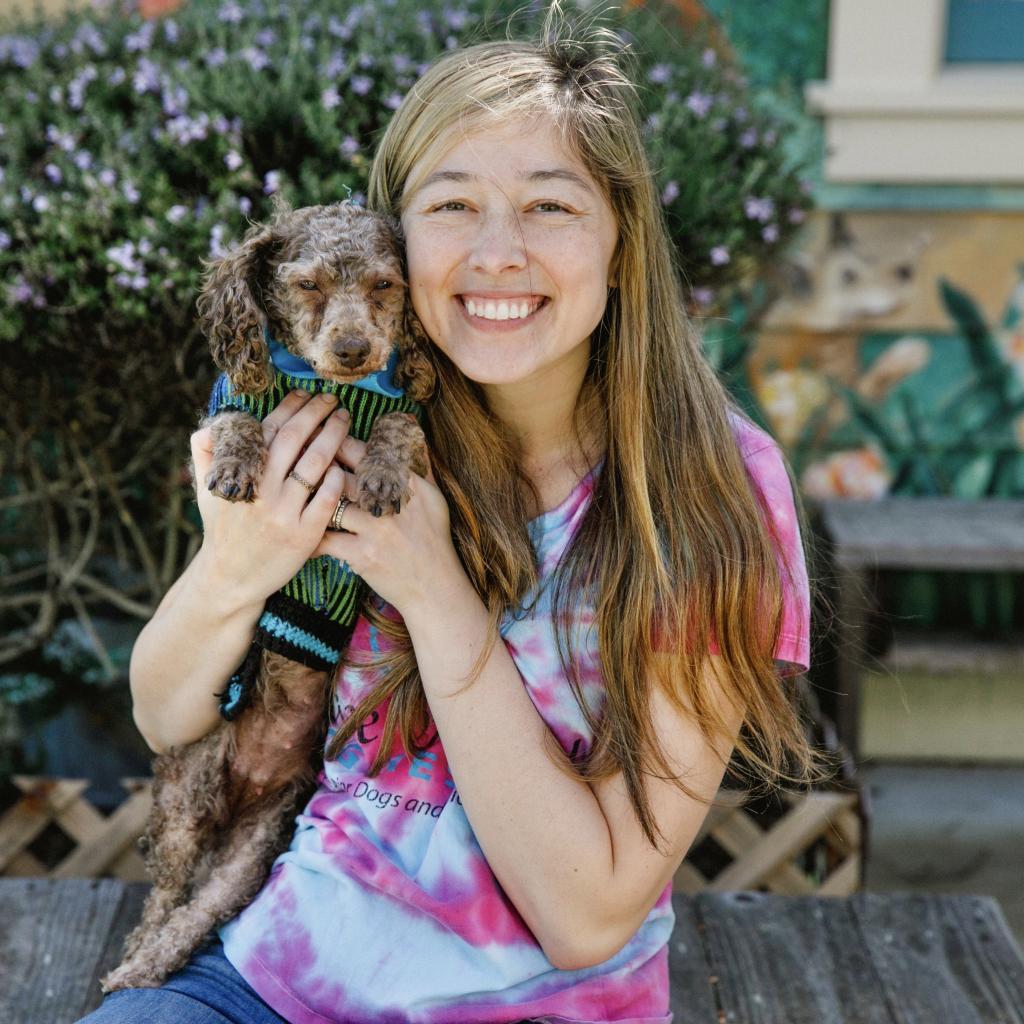 Terra, an adoptable Poodle in Pacific Grove, CA, 93950 | Photo Image 5