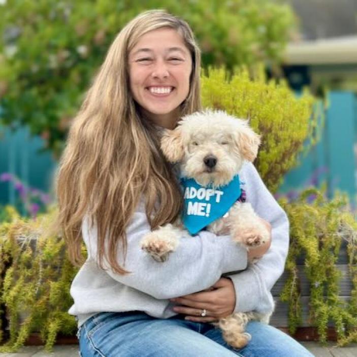 Fergie, an adoptable Poodle, Maltese in Pacific Grove, CA, 93950 | Photo Image 4