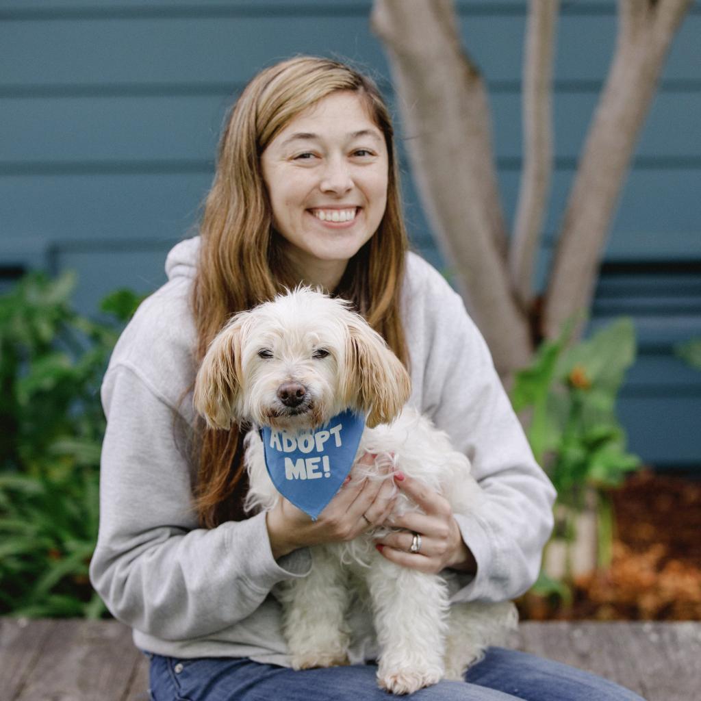 Lilly, an adoptable Lhasa Apso in Pacific Grove, CA, 93950 | Photo Image 3