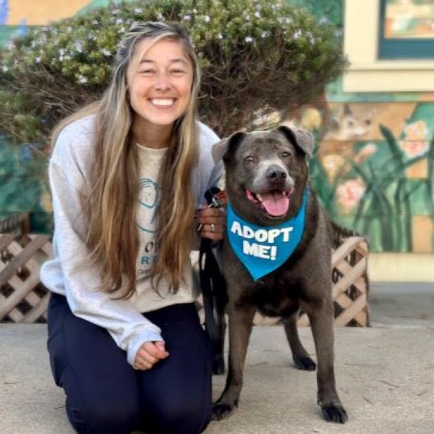 Mihla, an adoptable Labrador Retriever, Mixed Breed in Pacific Grove, CA, 93950 | Photo Image 2