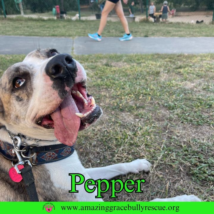 Pepper 1