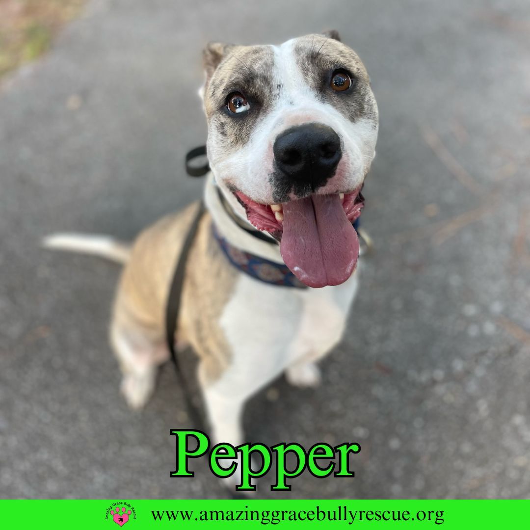 Pepper