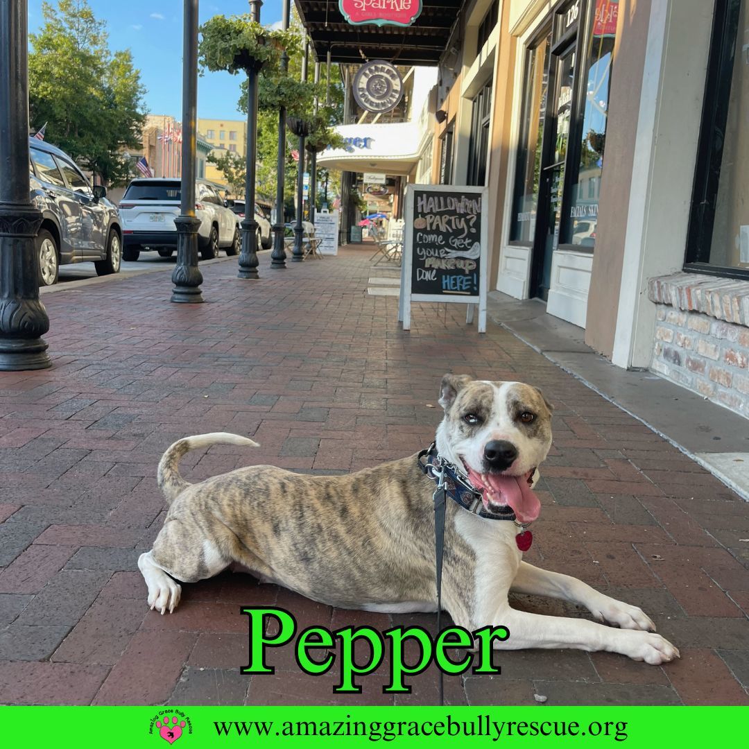 Pepper