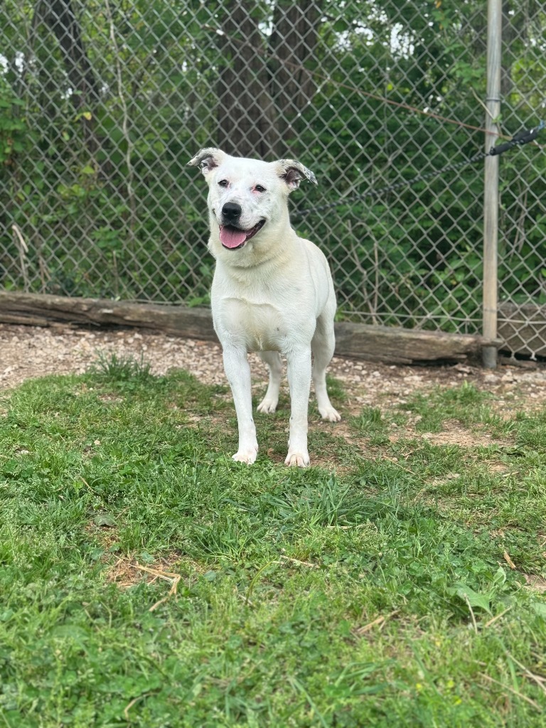 Mia