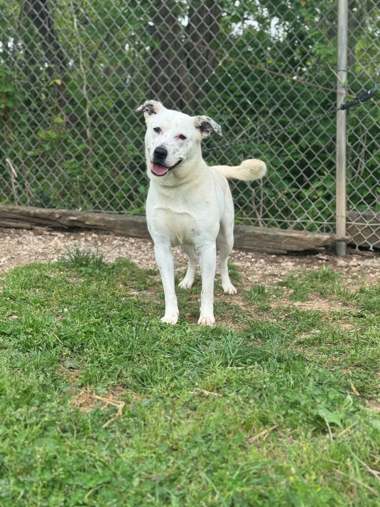 Mia