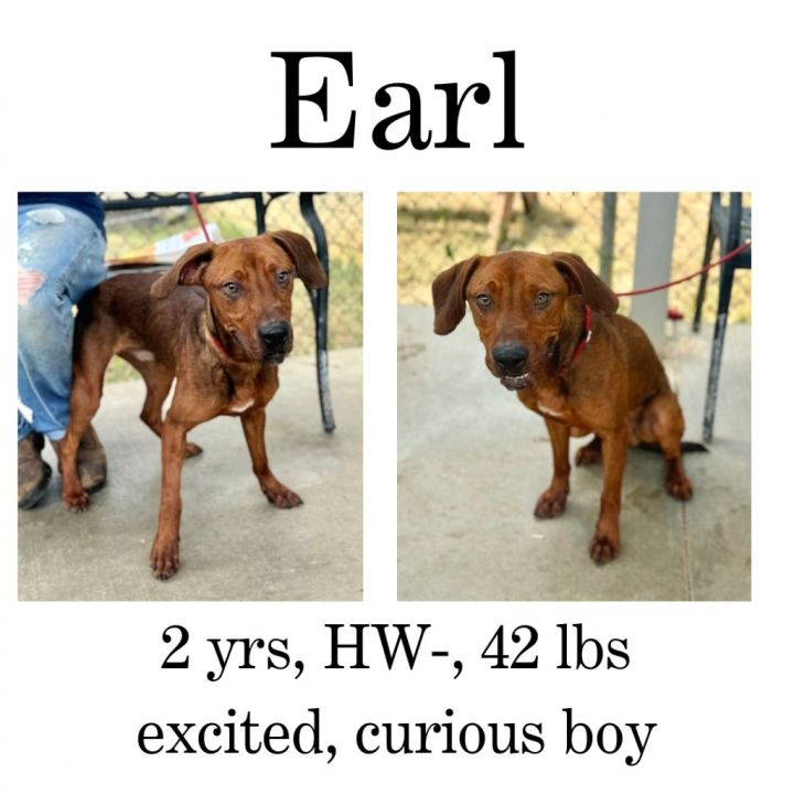 Earl 1