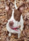 Nala photo 4
