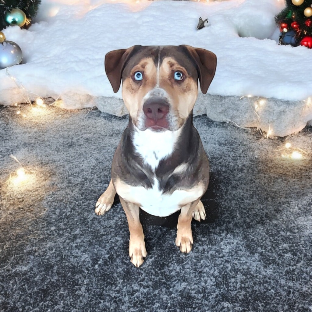 Franco