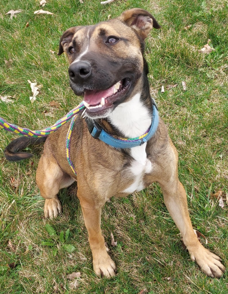 Halpert AKA "Kato