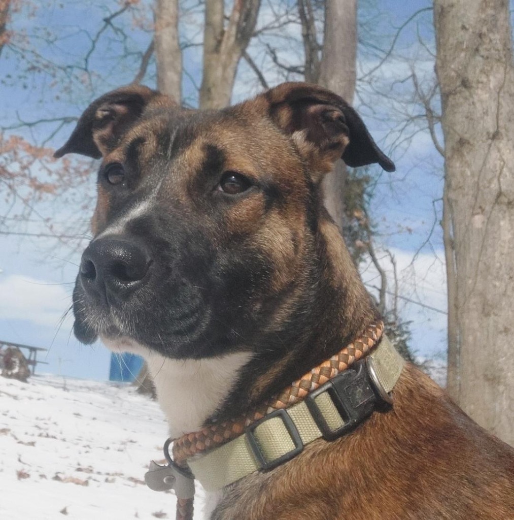 Halpert AKA "Kato