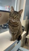 Gertie photo 2