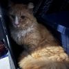 Willie photo 2