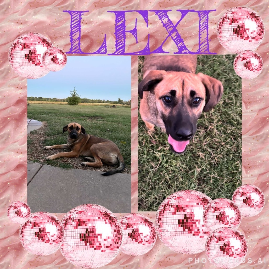 Lexi