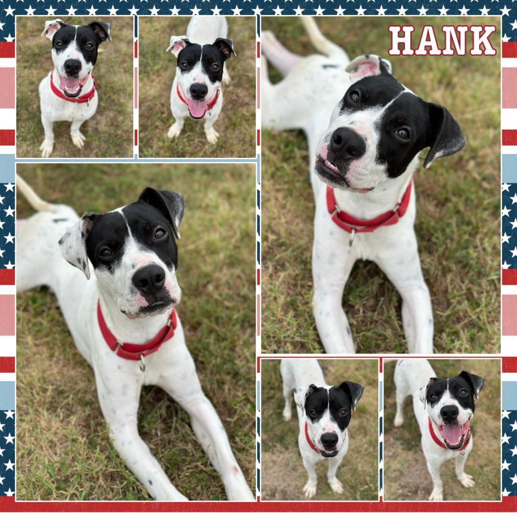 Hank