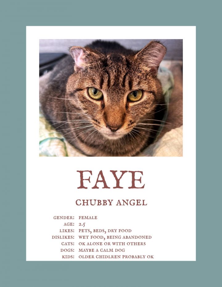 Faye *FEE WAIVED* 1