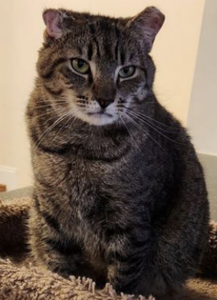 Faye *FEE WAIVED* 2