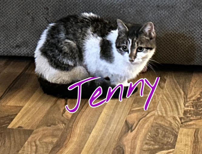 Jenny
