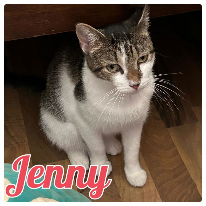 Jenny 2