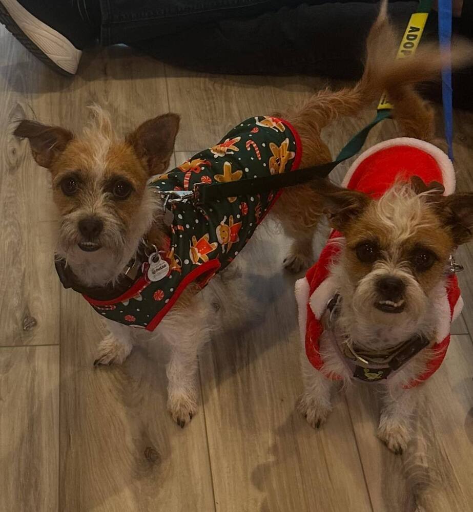 Kenny and Danny BONDED BROTHERS
