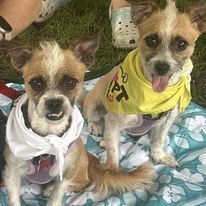 Kenny and Danny BONDED BROTHERS