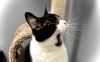 Benny photo 2