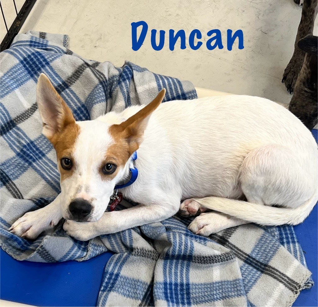 Duncan