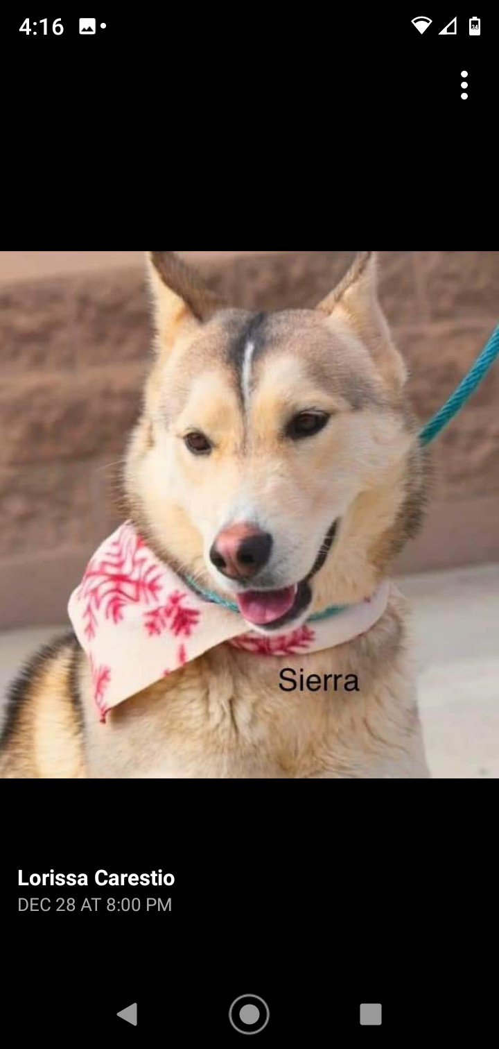 Sierra