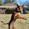 Barnaby (Dale) photo 1