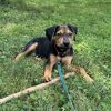 Barnaby (Dale) photo 4