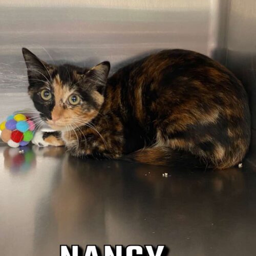 Nancy