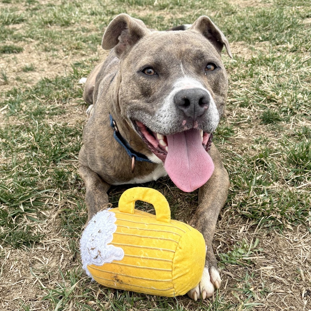 Leroy