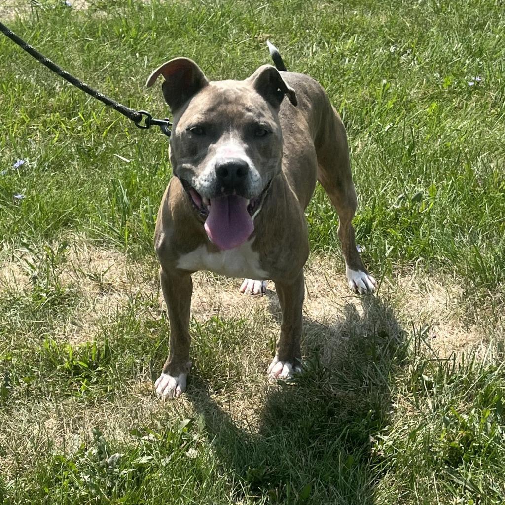 Leroy
