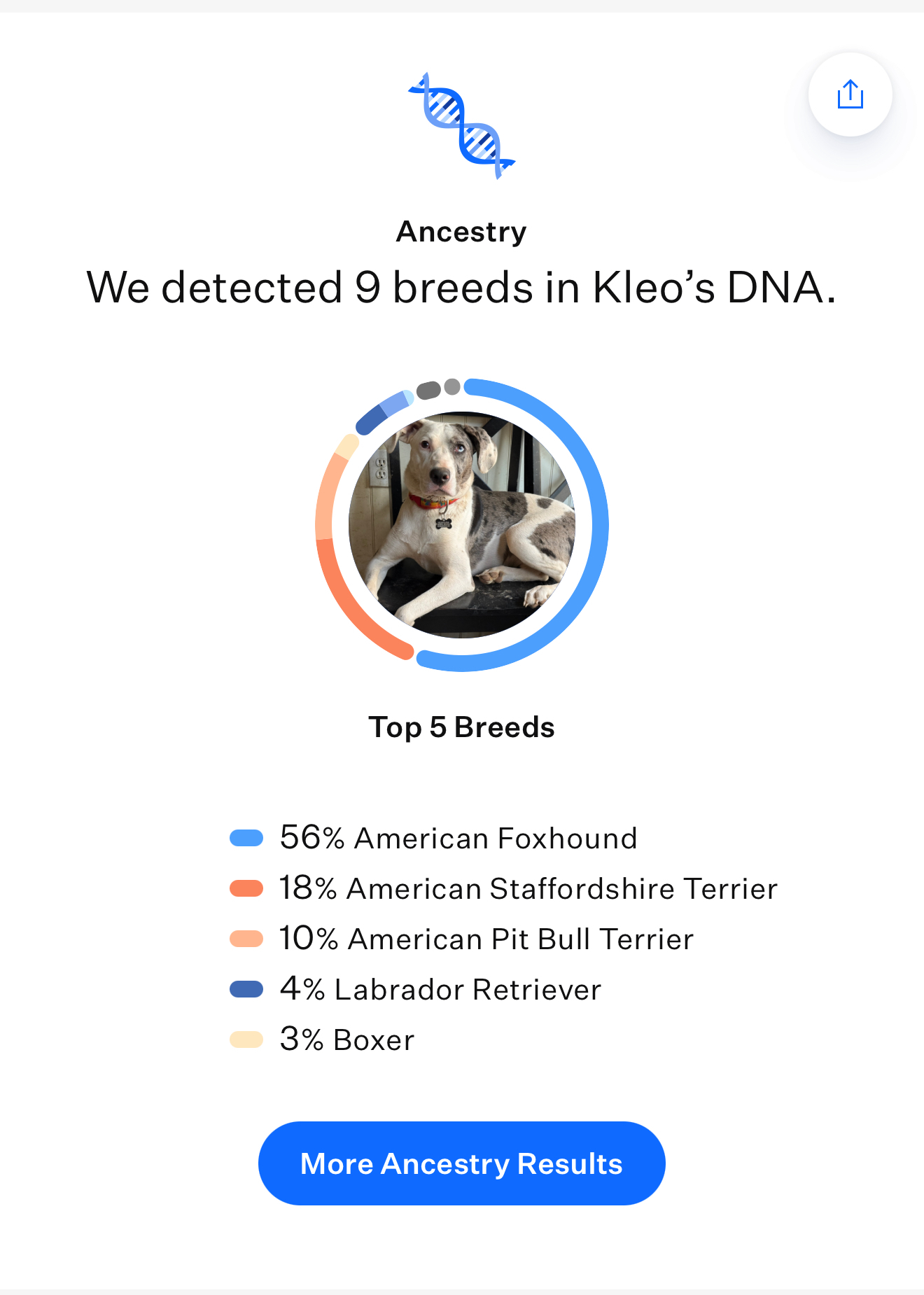 Kleo