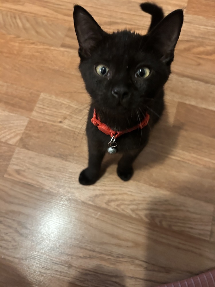 Rory