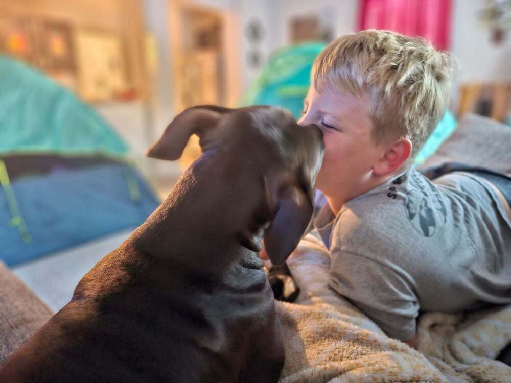 Ivy, an adoptable American Staffordshire Terrier in Wendell, NC, 27591 | Photo Image 4