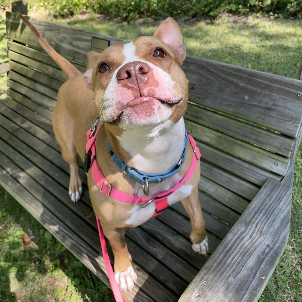Gigi