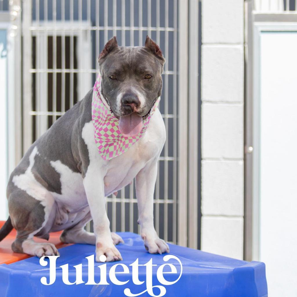 Juliette