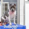 Juliette photo 2
