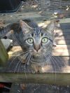 Steve photo 1