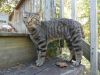 Steve photo 3