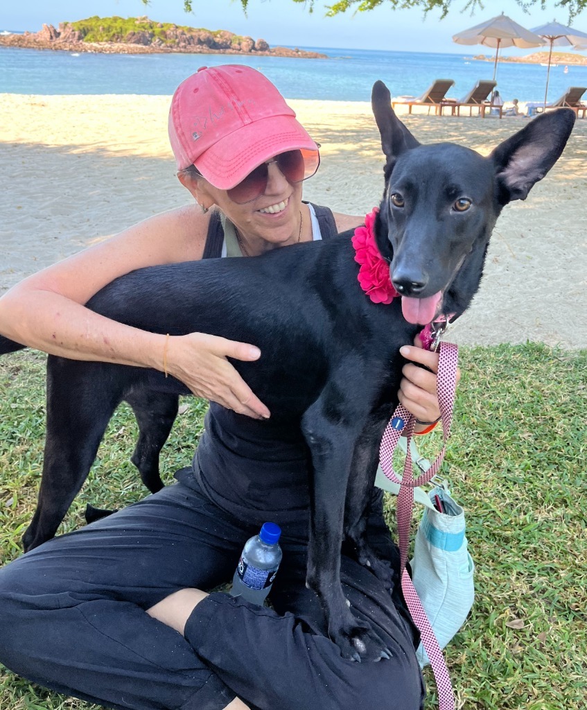 Jewel, an adoptable Black Labrador Retriever, Shepherd in San Juan de Abajo, NAY, 63732 | Photo Image 5