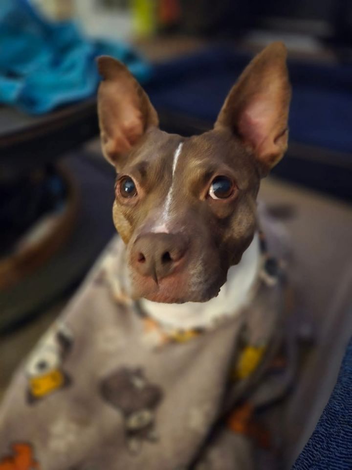 Coco 4