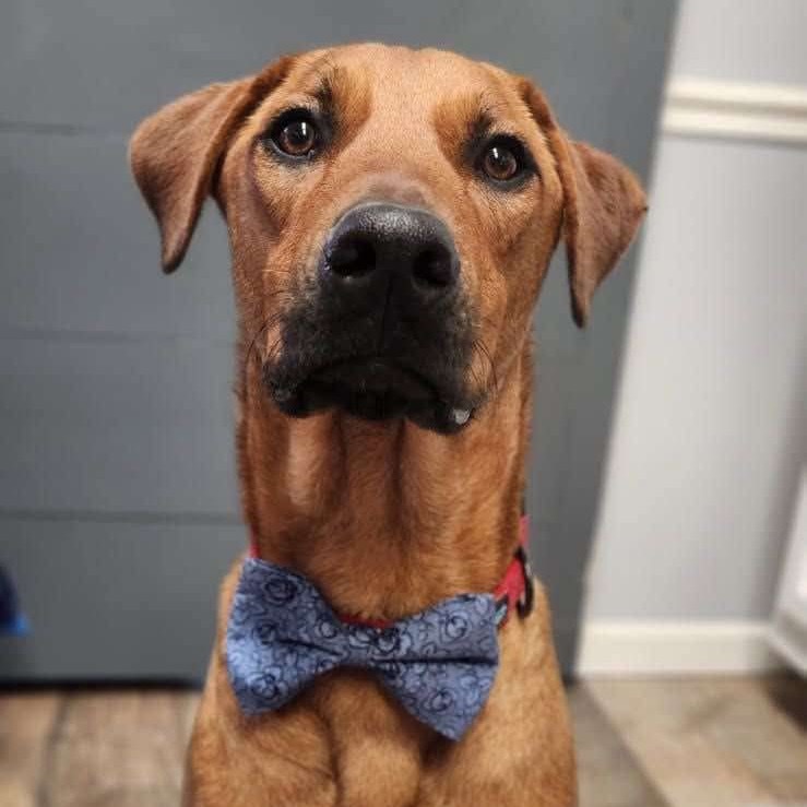 Axel