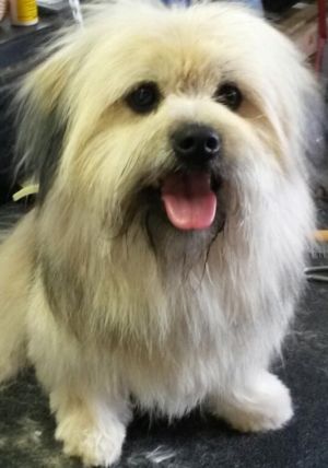 Tyler, Senior Male unknown