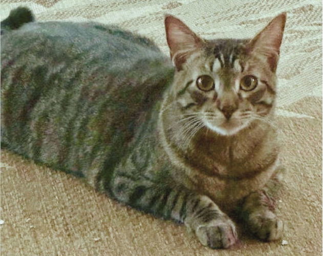 Max