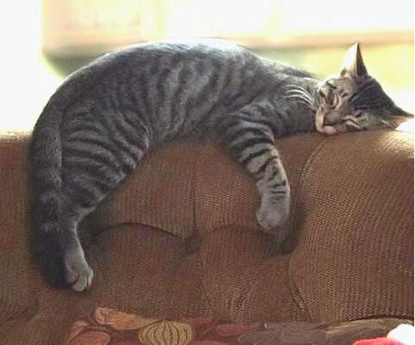 Max