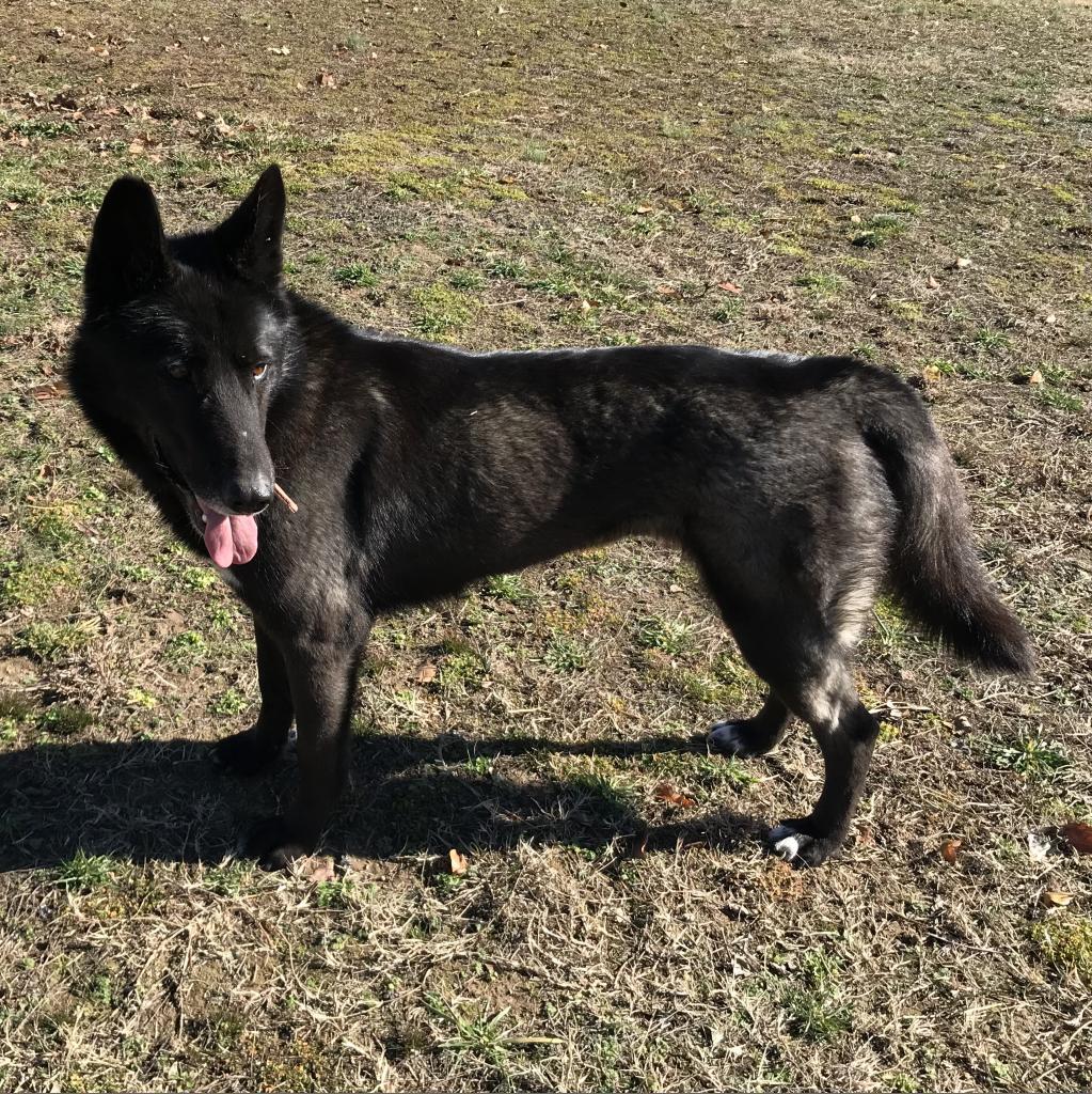 Freya